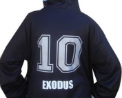 Australian International Performing Arts Academy exodus custom hoodie
