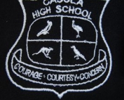 Casula High School Baseball Jacket Emblem