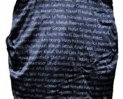 miller technology high school exodus baseball jacket name lining