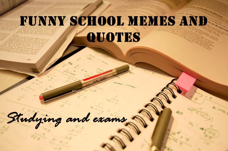 Study and exam funny school memes to leave you laughing - Exodus Wear
