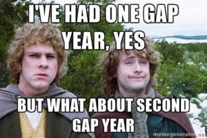 gap year memes